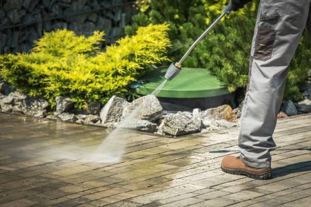 Best Sidewalk and Walkway Cleaning  in St Augustine Shores, FL
